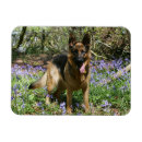 Recherche de fixation magnets Photographe canin