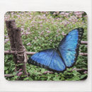 Recherche de papillon bleu morpho tapis souris Vert