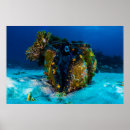 Recherche de palourde posters Océan