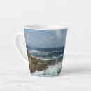 Recherche de rocheuse côte tasses Nature