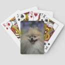 Recherche de spitz jeux de cartes Loulou
