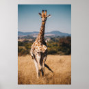 Recherche de vintage giraffe posters Faune