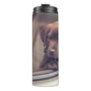 Recherche de fenêtre tasses Chiot