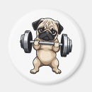 Recherche de haltères magnets Levage