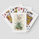 Recherche de abraham jeux de cartes Siècle