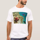 Recherche de cortez tshirts Golfe de californie