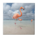 Recherche de aruba carreaux Tropical