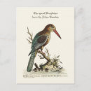 Recherche de martin pêcheur cartes postales Vintage