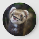 Recherche de furet horloges Mignon