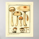 Recherche de variété art Vintage