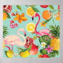 Recherche de fruit exotique posters Tropical