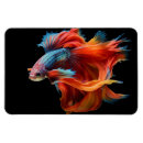 Recherche de poissons tropicaux magnets Tropical