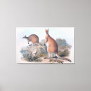 Recherche de kangaroo posters Sydney