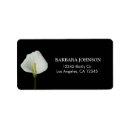 Recherche de zantedeschia jaune Fleurs