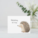 Recherche de hérisson mignon cartes postales Animaux