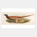 Recherche de chasse de faisan autocollants Oiseau