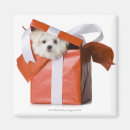 Recherche de personne de chien magnets Animal
