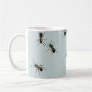 Recherche de fourmi noire tasses Insecte