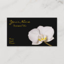 Recherche de orchidée noire cartes visite Fleur