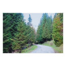 Recherche de forêt posters Sauvage