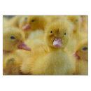 Recherche de bébé planches à découper Oiseau