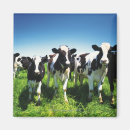 Recherche de agriculture magnets Dehors