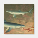 Recherche de aquatique magnets Vie marine