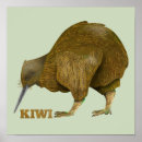 Recherche de kiwi oiseau art Nouvelle zélande