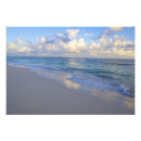 Recherche de les îles canaries posters Tropical