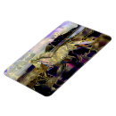 Recherche de islandais magnets Poney