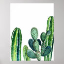 Recherche de cactus posters Imprimer