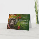 Recherche de image labrador vœux cartes Regarder la caméra