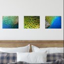 Recherche de plume art Coloré