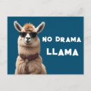 Recherche de lama drôle cartes postales Capricieux