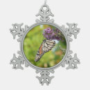 Recherche de papillon de monarque ornements Photographie