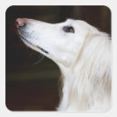 Recherche de saluki autocollants Animal