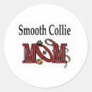 Recherche de rugueux autocollants Collie