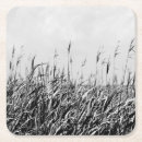 Recherche de photographie paysage de dessous de verres Littoral