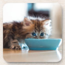 Recherche de persan dessous de verres Bleu