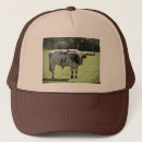 Recherche de klaxons casquettes Taureau