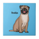 Recherche de chien carlin carreaux Dog