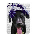 Recherche de labrador noir magnets Fascinateur