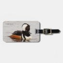 Recherche de étang de canard accessoires Sauvagine