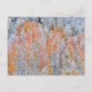 Recherche de montagnes rocheuses cartes postales Tremble