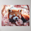 Recherche de panda rose posters Animal