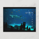 Recherche de requin baleine posters Voyage