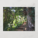 Recherche de forêts tropicales cartes postales Hawaii