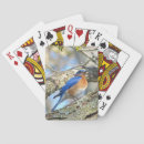 Recherche de oiseau bleu jeux de cartes Printemps