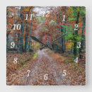 Recherche de route horloges Automne