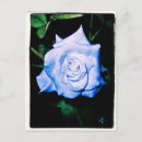 Recherche de petit prince cartes postales Rose